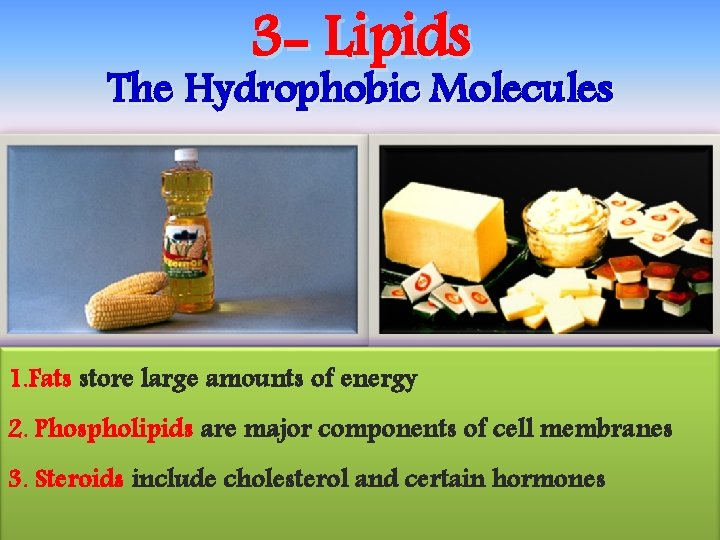 3 - Lipids The Hydrophobic Molecules 1. Fats store large amounts of energy 2.