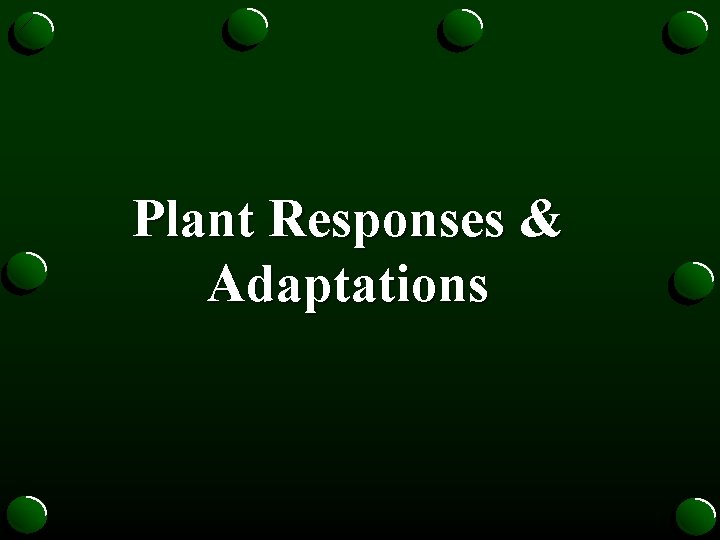 Plant Responses & Adaptations 