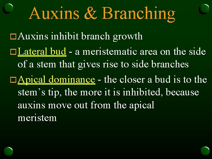 Auxins & Branching o Auxins inhibit branch growth o Lateral bud - a meristematic