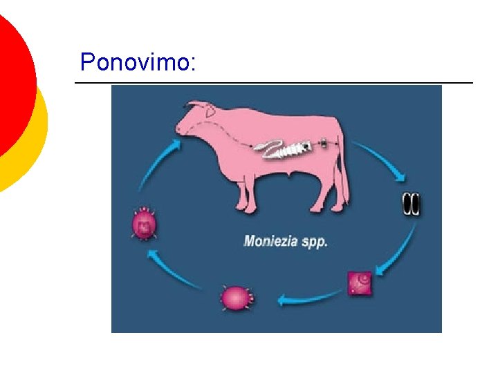 Ponovimo: 