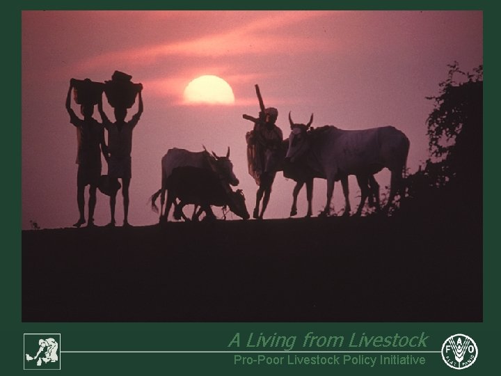 A Living from Livestock Pro-Poor Livestock Policy Initiative 