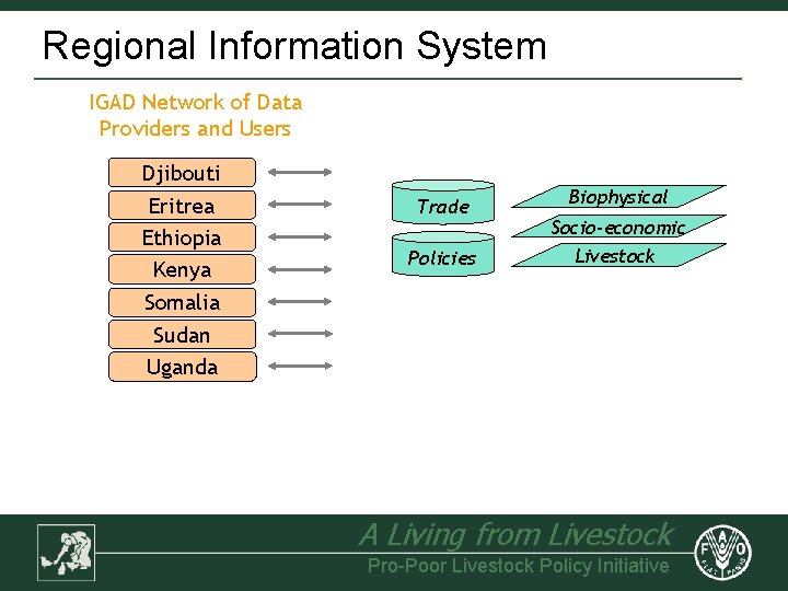 Regional Information System IGAD Network of Data Providers and Users Djibouti Eritrea Ethiopia Kenya