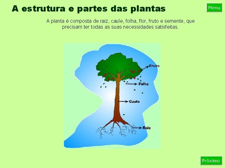 A estrutura e partes das plantas A planta é composta de raiz, caule, folha,