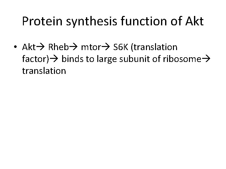 Protein synthesis function of Akt • Akt Rheb mtor S 6 K (translation factor)