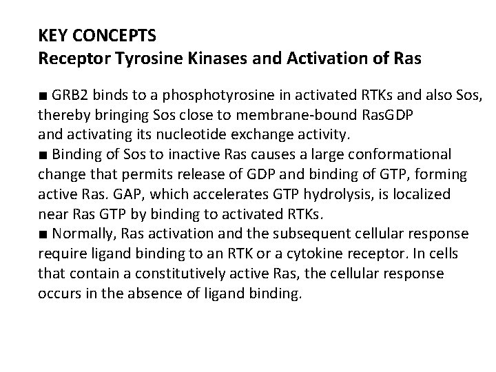 KEY CONCEPTS Receptor Tyrosine Kinases and Activation of Ras ■ GRB 2 binds to