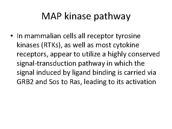MAP kinase pathway • In mammalian cells all receptor tyrosine kinases (RTKs), as well