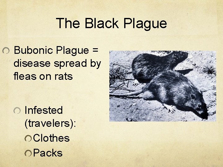 The Black Plague Bubonic Plague = disease spread by fleas on rats Infested (travelers):