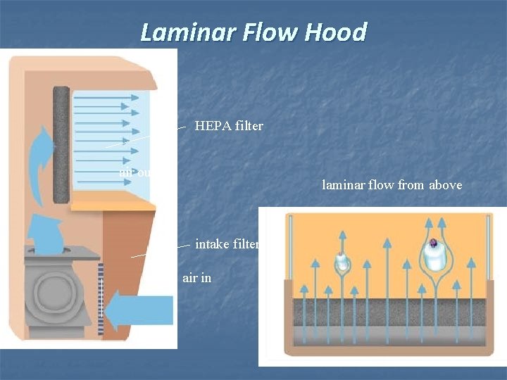 Laminar Flow Hood HEPA filter air out laminar flow from above intake filter air Laminar Flow Hood HEPA filter air out laminar flow from above intake filter air