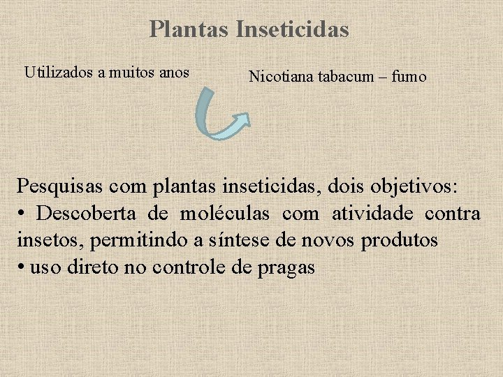 Plantas Inseticidas Utilizados a muitos anos Nicotiana tabacum – fumo Pesquisas com plantas inseticidas,