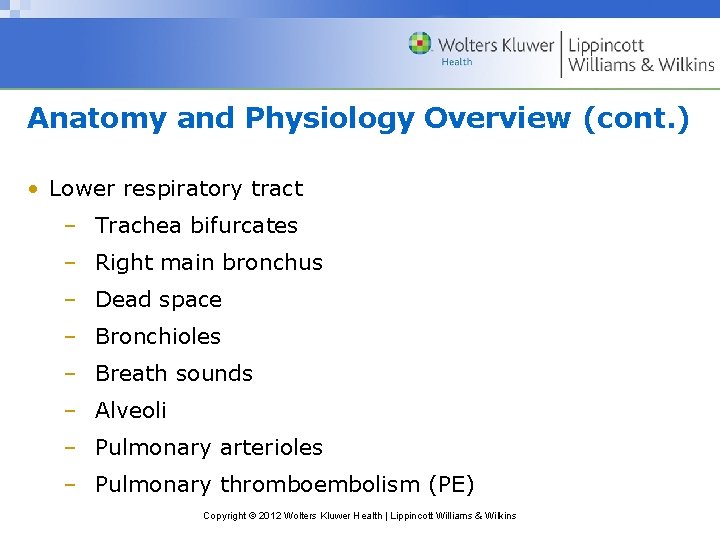 Anatomy and Physiology Overview (cont. ) • Lower respiratory tract – Trachea bifurcates –