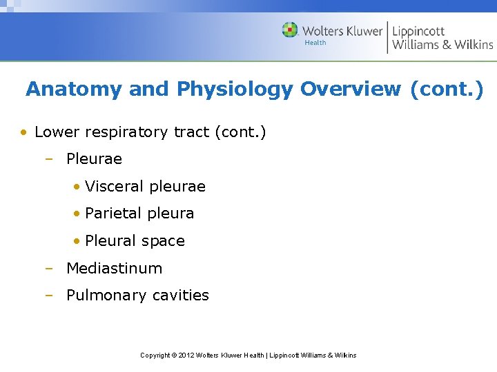 Anatomy and Physiology Overview (cont. ) • Lower respiratory tract (cont. ) – Pleurae