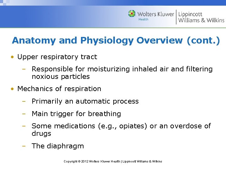 Anatomy and Physiology Overview (cont. ) • Upper respiratory tract – Responsible for moisturizing