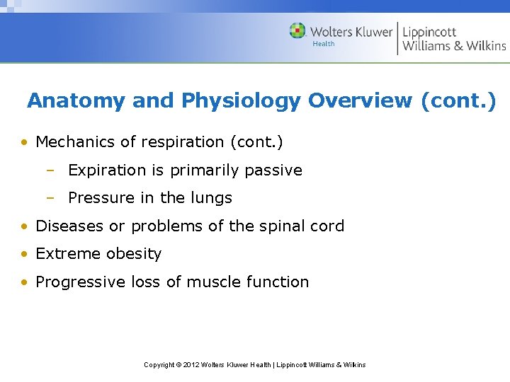 Anatomy and Physiology Overview (cont. ) • Mechanics of respiration (cont. ) – Expiration