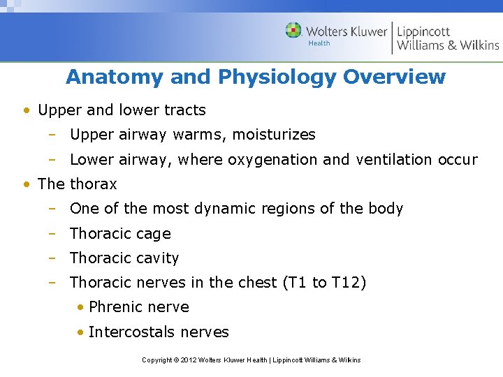 Anatomy and Physiology Overview • Upper and lower tracts – Upper airway warms, moisturizes