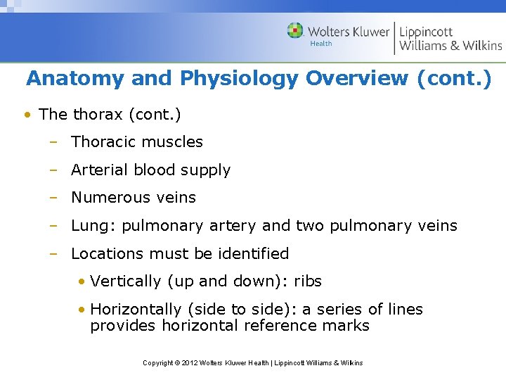 Anatomy and Physiology Overview (cont. ) • The thorax (cont. ) – Thoracic muscles