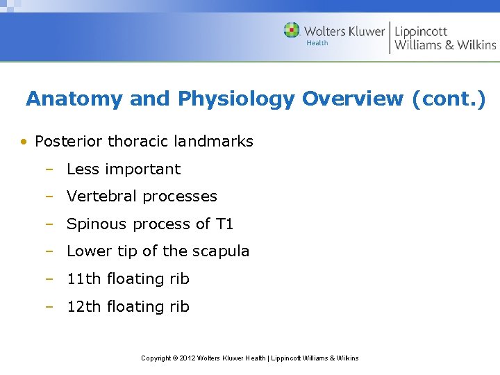 Anatomy and Physiology Overview (cont. ) • Posterior thoracic landmarks – Less important –