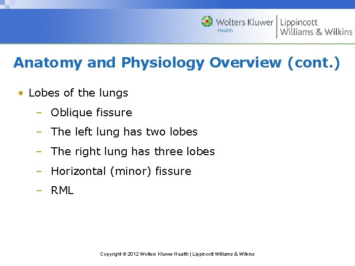 Anatomy and Physiology Overview (cont. ) • Lobes of the lungs – Oblique fissure