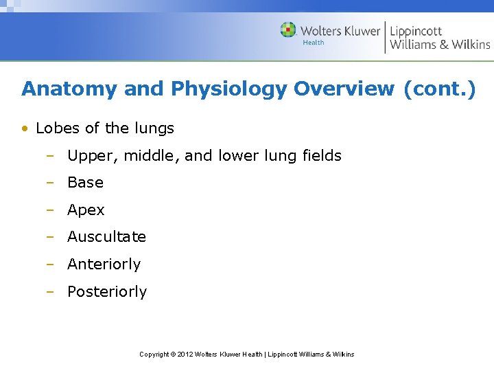Anatomy and Physiology Overview (cont. ) • Lobes of the lungs – Upper, middle,