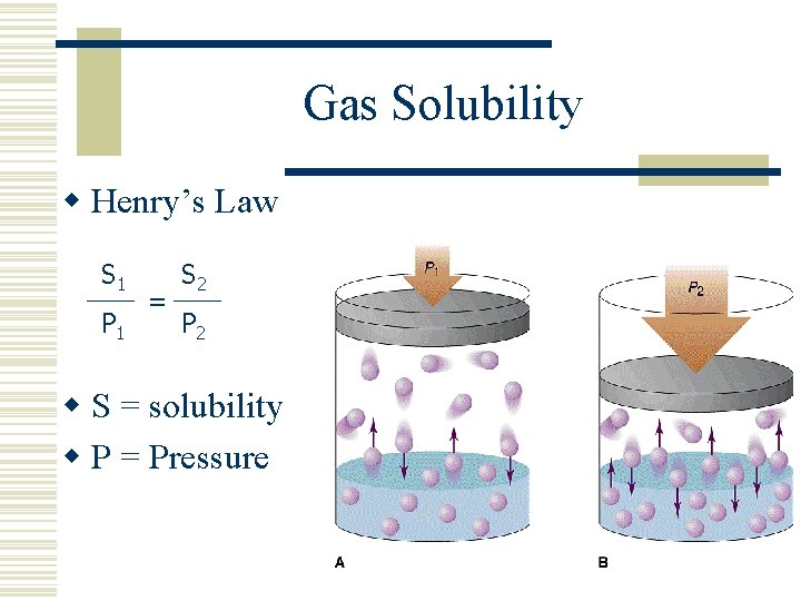 Gas Solubility w Henry’s Law S 1 P 1 = S 2 P 2