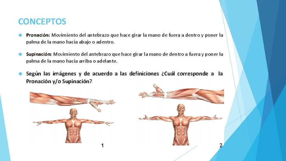 UNIDAD 1 GUA 1 OBJETIVO Conocer e identificar