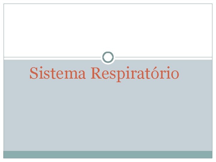 Sistema Respiratório 