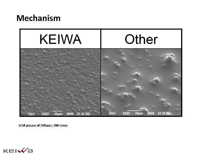 Mechanism SEM picture of Diffuser, 500 times 