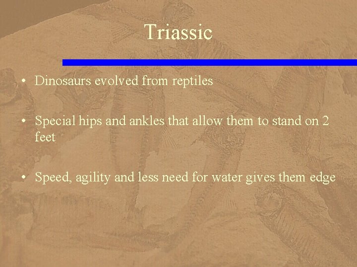 Triassic • Dinosaurs evolved from reptiles • Special hips and ankles that allow them