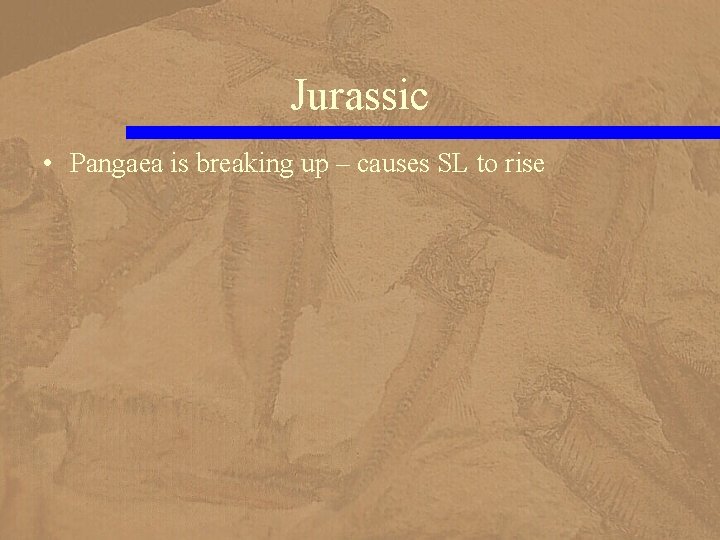 Jurassic • Pangaea is breaking up – causes SL to rise 