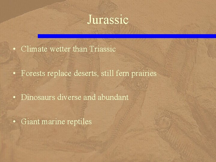 Jurassic • Climate wetter than Triassic • Forests replace deserts, still fern prairies •