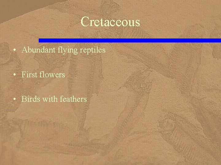 Cretaceous • Abundant flying reptiles • First flowers • Birds with feathers 