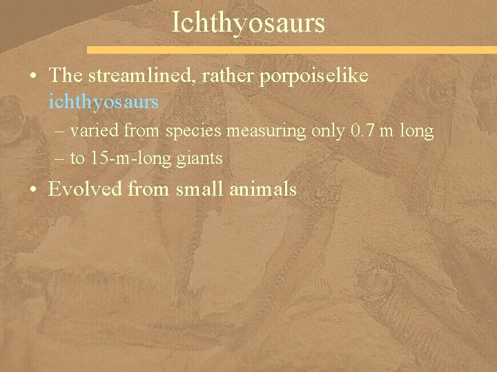 Ichthyosaurs • The streamlined, rather porpoiselike ichthyosaurs – varied from species measuring only 0.