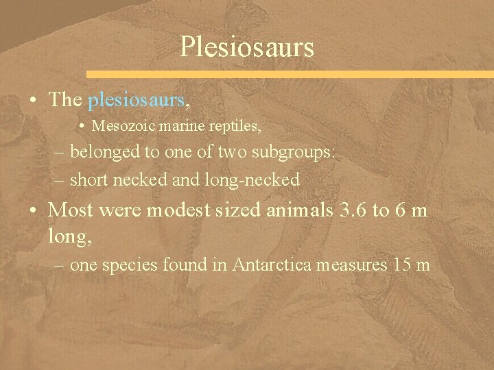 Plesiosaurs • The plesiosaurs, • Mesozoic marine reptiles, – belonged to one of two