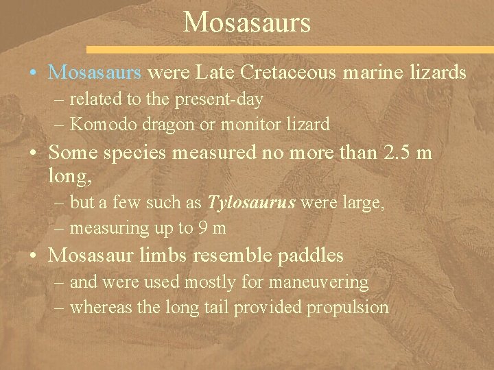 Mosasaurs • Mosasaurs were Late Cretaceous marine lizards – related to the present-day –