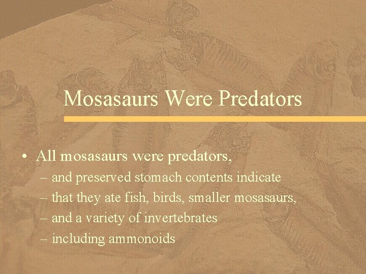 Mosasaurs Were Predators • All mosasaurs were predators, – and preserved stomach contents indicate