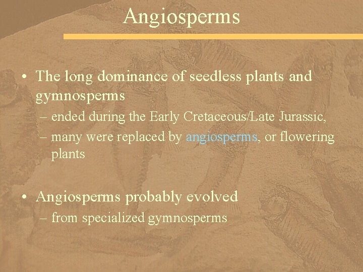 Angiosperms • The long dominance of seedless plants and gymnosperms – ended during the