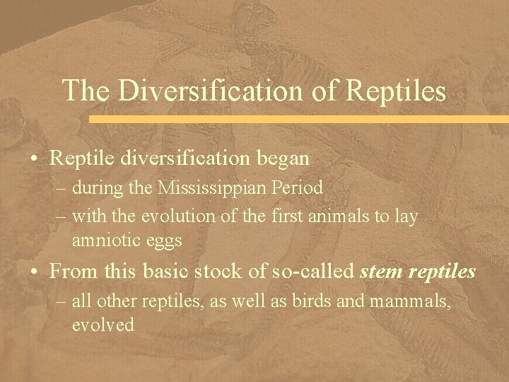 The Diversification of Reptiles • Reptile diversification began – during the Mississippian Period –