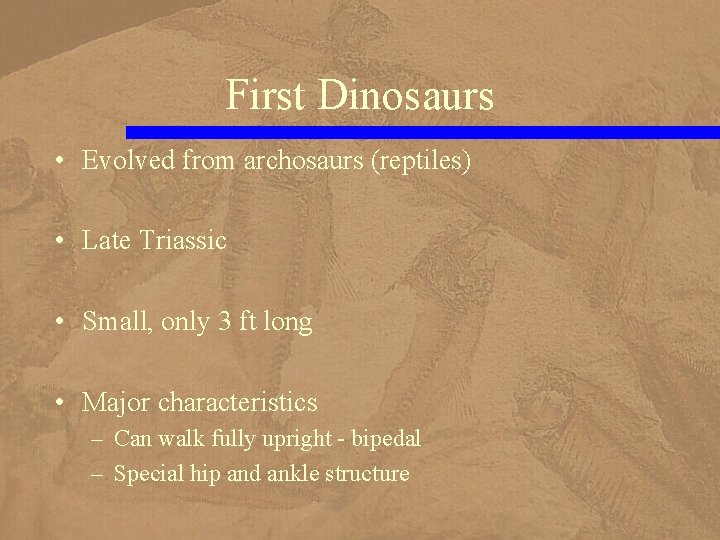 First Dinosaurs • Evolved from archosaurs (reptiles) • Late Triassic • Small, only 3