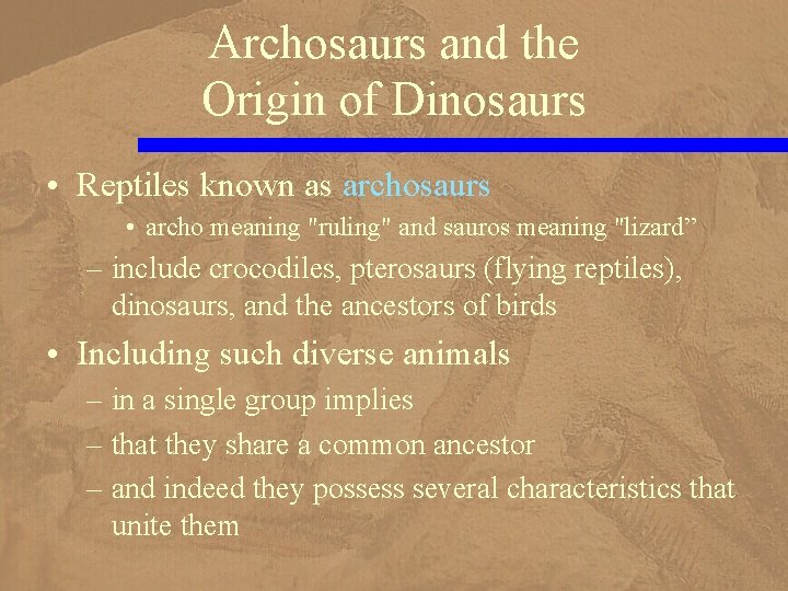 Archosaurs and the Origin of Dinosaurs • Reptiles known as archosaurs • archo meaning