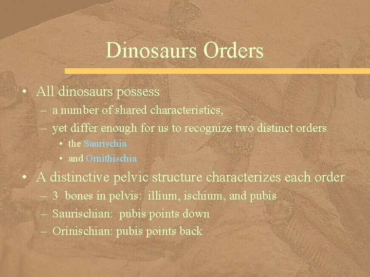 Dinosaurs Orders • All dinosaurs possess – a number of shared characteristics, – yet