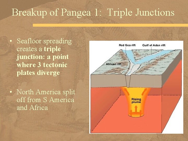 Breakup of Pangea 1: Triple Junctions • Seafloor spreading creates a triple junction: a