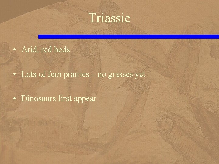 Triassic • Arid, red beds • Lots of fern prairies – no grasses yet