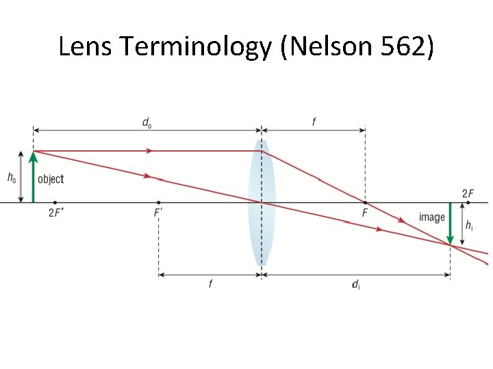 Lens Terminology (Nelson 562) 