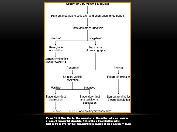 Figure 19 -3 Algorithm for the evaluation of the patient with low-volume or absent