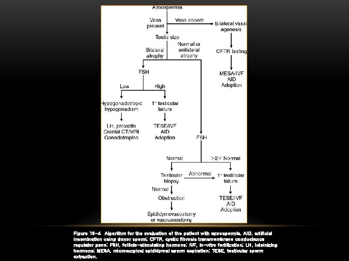 Figure 19 -4 Algorithm for the evaluation of the patient with azoospermia. AID, artificial