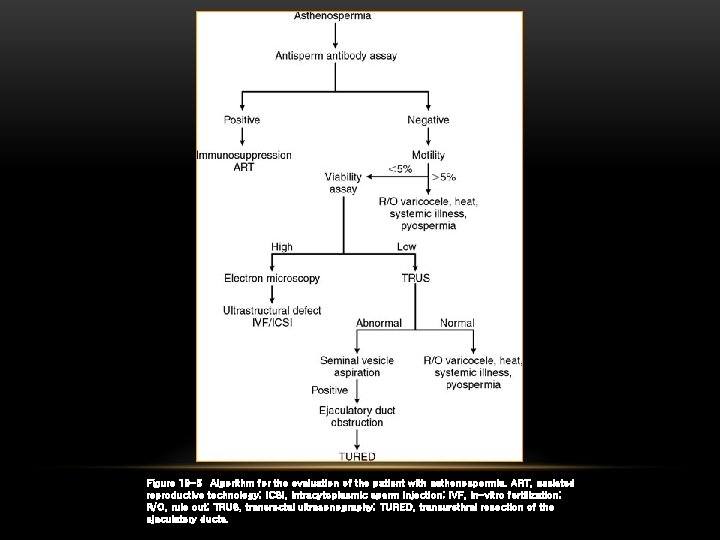 Figure 19 -5 Algorithm for the evaluation of the patient with asthenospermia. ART, assisted