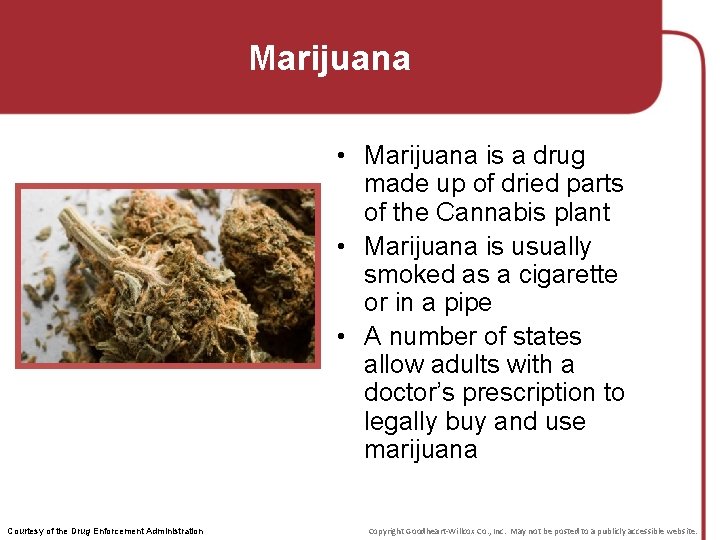 Marijuana • Marijuana is a drug made up of dried parts of the Cannabis