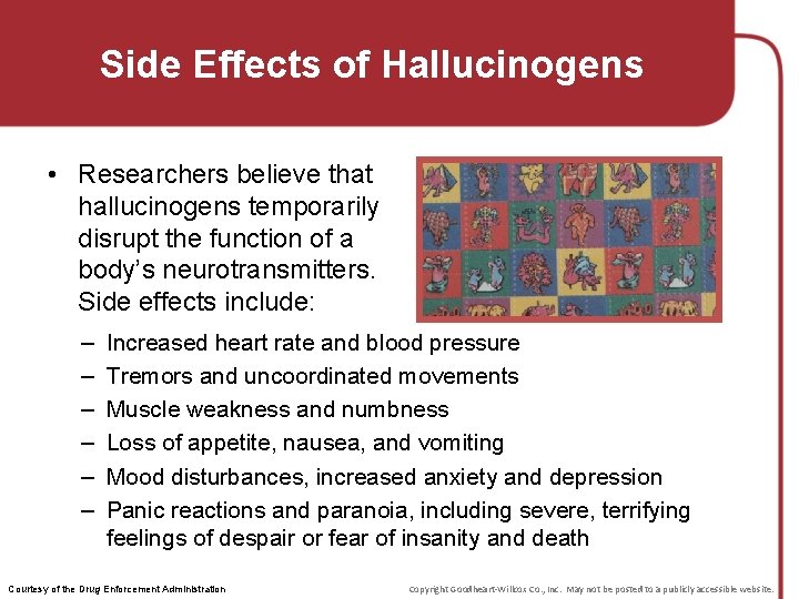 Side Effects of Hallucinogens • Researchers believe that hallucinogens temporarily disrupt the function of