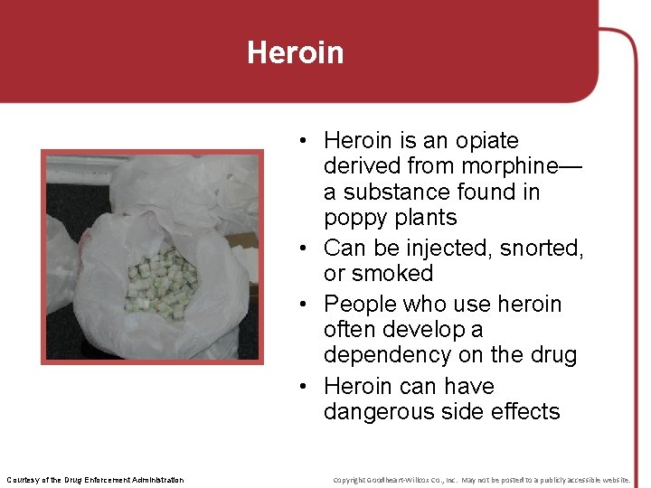 Heroin • Heroin is an opiate derived from morphine— a substance found in poppy