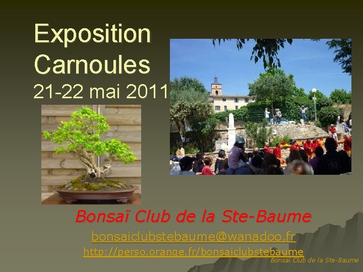 Exposition Carnoules 21 -22 mai 2011 Bonsaï Club de la Ste-Baume bonsaiclubstebaume@wanadoo. fr http: