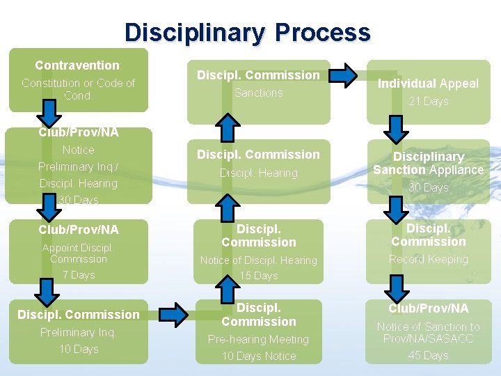 Disciplinary Process Contravention: Constitution or Code of Cond. Discipl. Commission Sanctions Individual Appeal 21